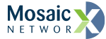 MPLS VPN Provider Mosaic